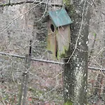 Ardennen Alpstuga *