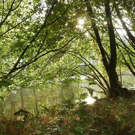 Alpstuga Ardennen
