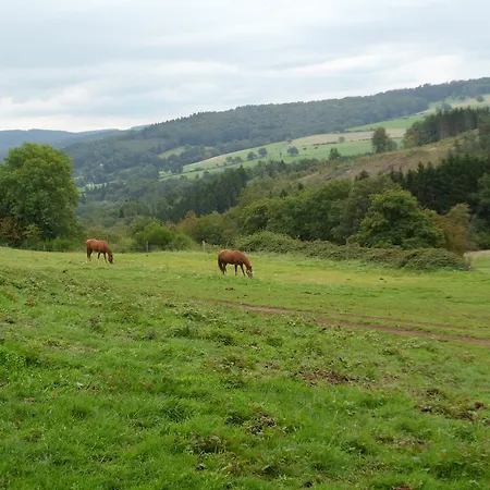 Ardennen בקתה